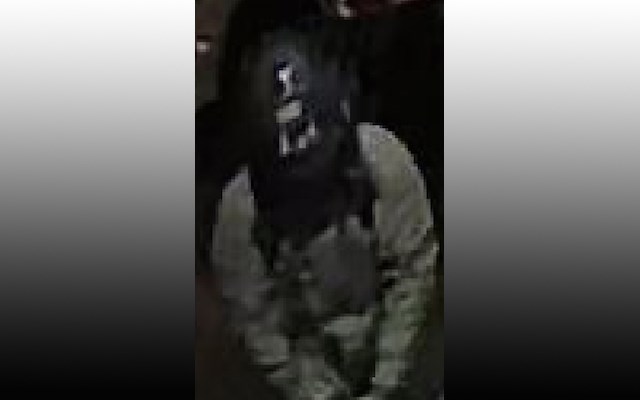 Suspect image provided by York Regional Police