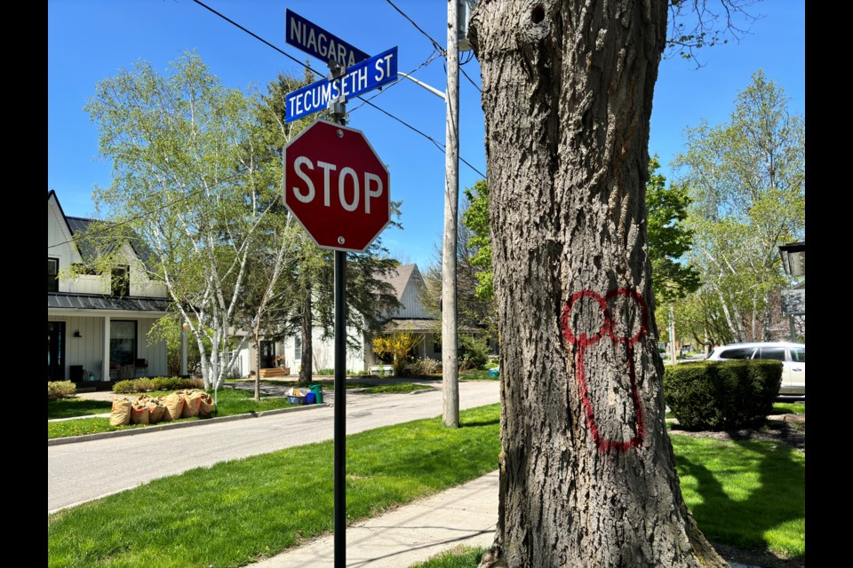 Spray paint was posted on Tecumseth Street and Niagara Street.