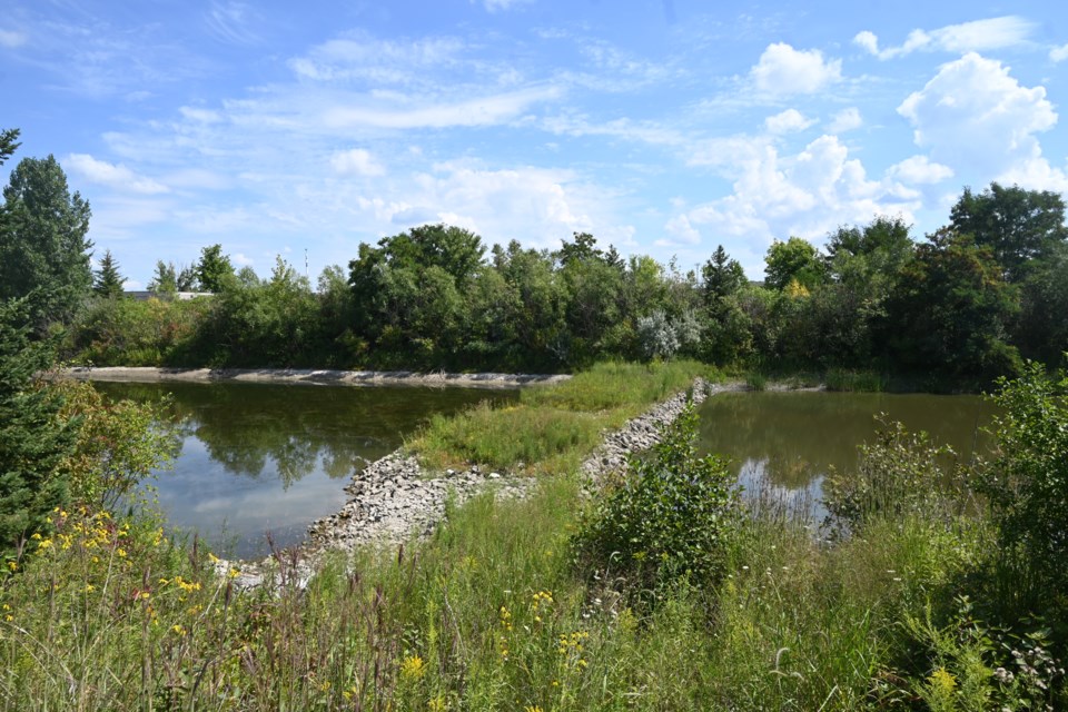 Newmarket is exploringthe feasibility of a nature path and picnic area around a stormwater pond on Stackhouse Road. 