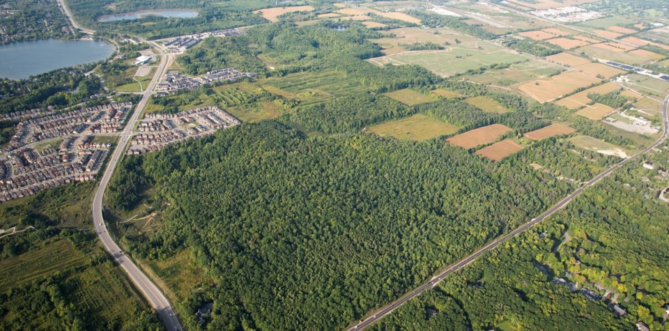 20230316-oak-ridges-moraine-richmond-hill