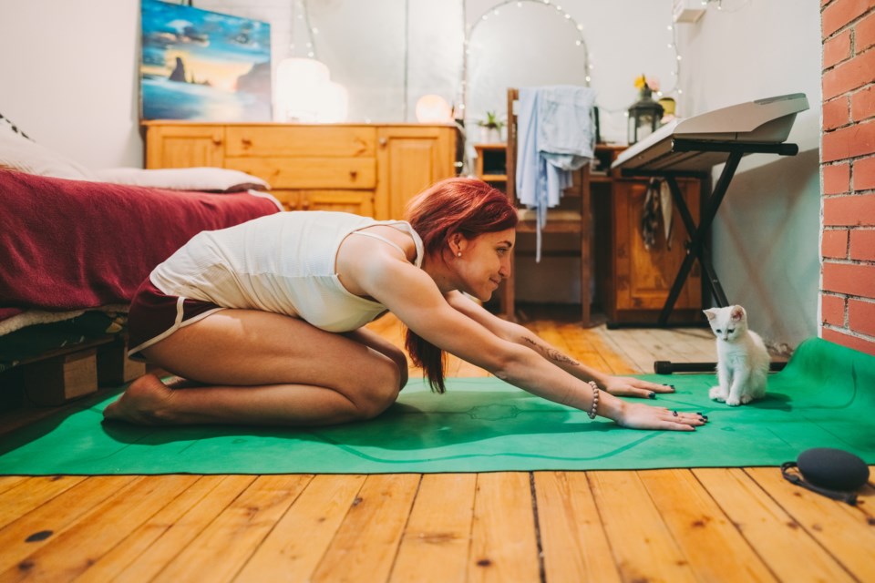 kitten-yoga-new-west