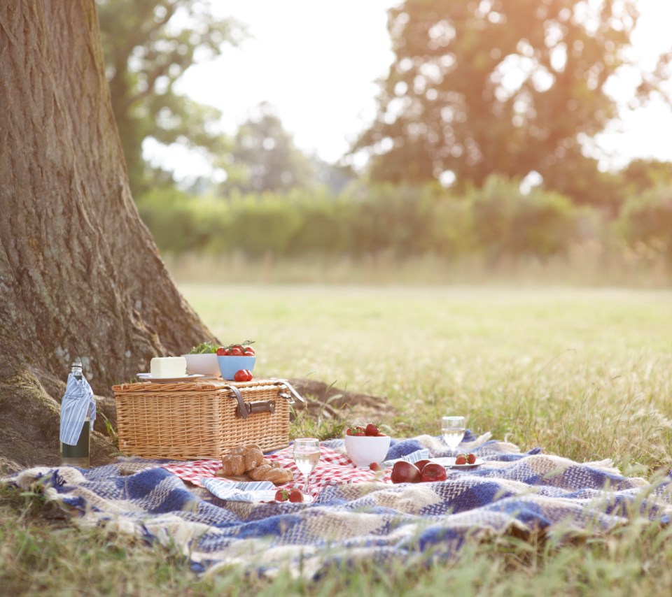 picnic basket