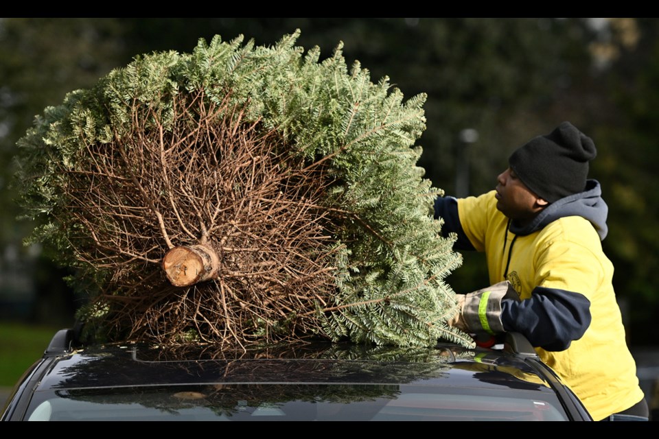 New Westminster firefighter Dean Clarke unloads a tree from the top of a car.
