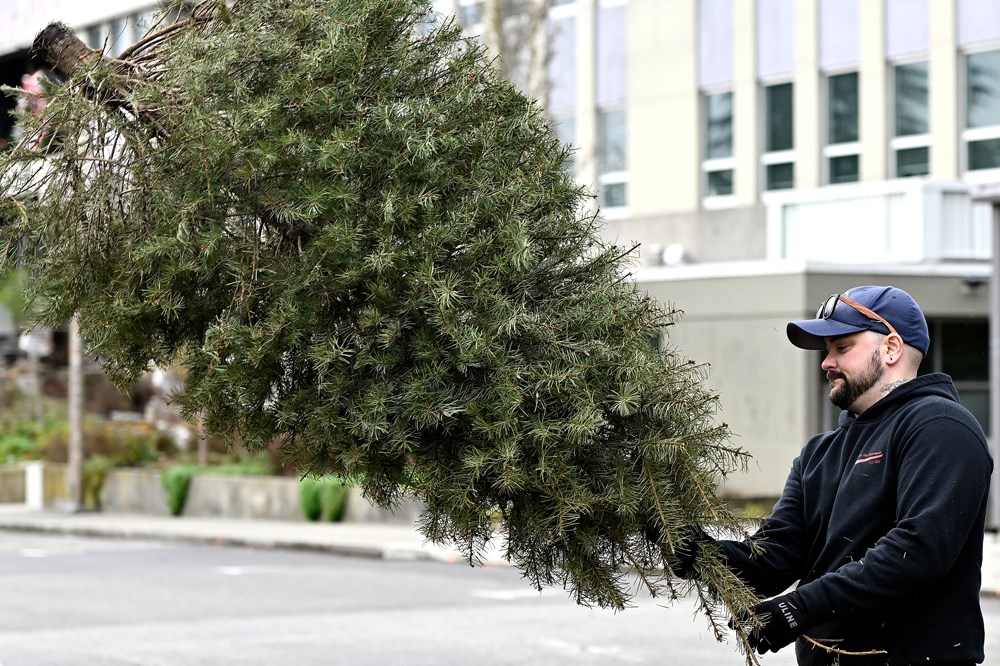 Photos New Westminster firefighters' tree chipping event closes out