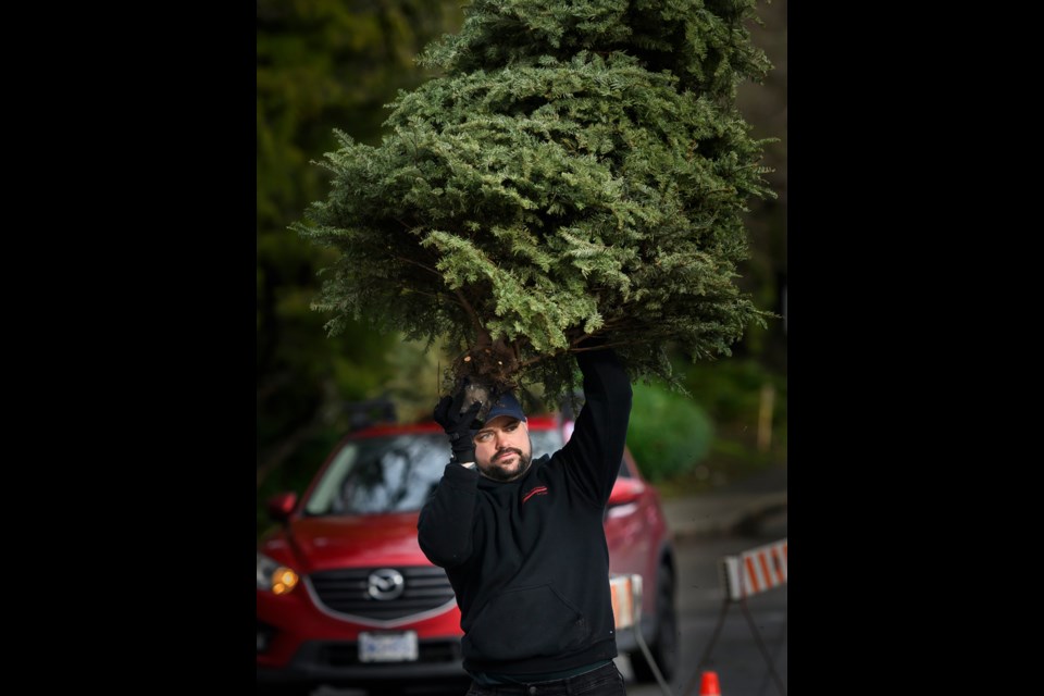 New Westminster firefighter Riley Chidley hauls a tree.