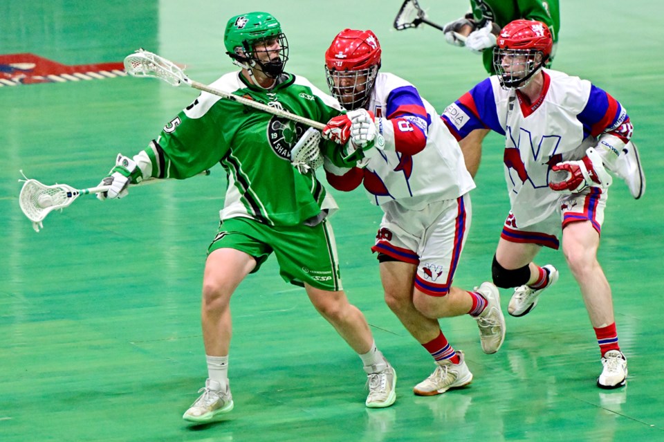 salmonbellies05
