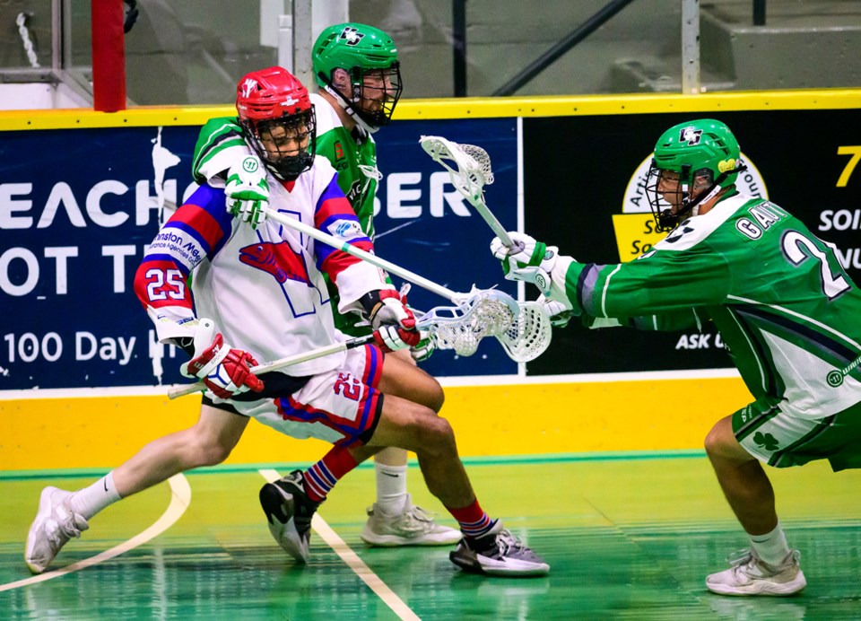 salmonbellies13
