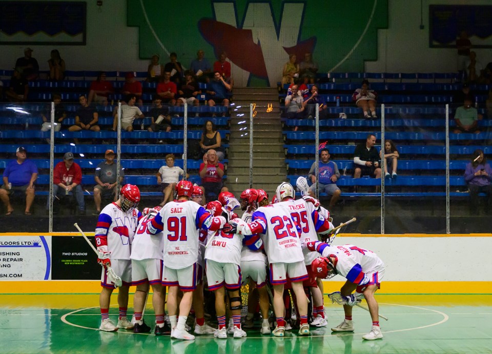 salmonbellies18