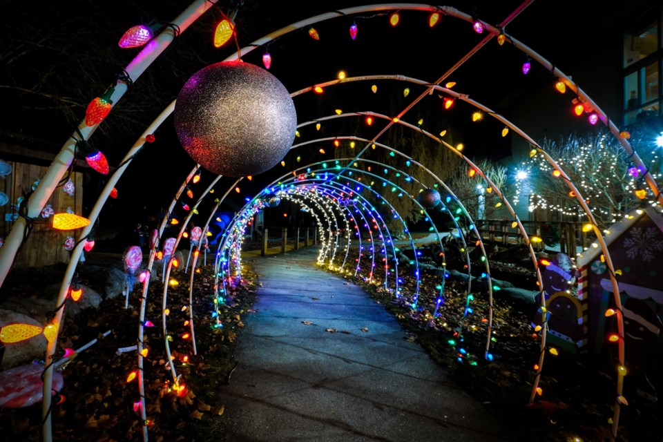 Light Tunnel, Queensborough Community Centre – A light tunnel is just one element of this light display, brought to you in partnership with the Queensborough Special Programs Committee.