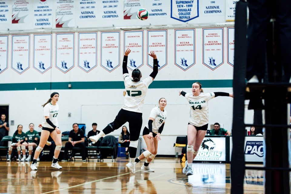 Douglas College Royals' setter Emily Lafleur (#12) sends the ball up for a teammate to spike in the bronze medal match against Camosun College on home court at the 2023-24 PACWEST women's volleyball championships.