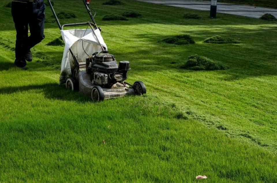 web1_lawn--owngarden-moment-gettyimages
