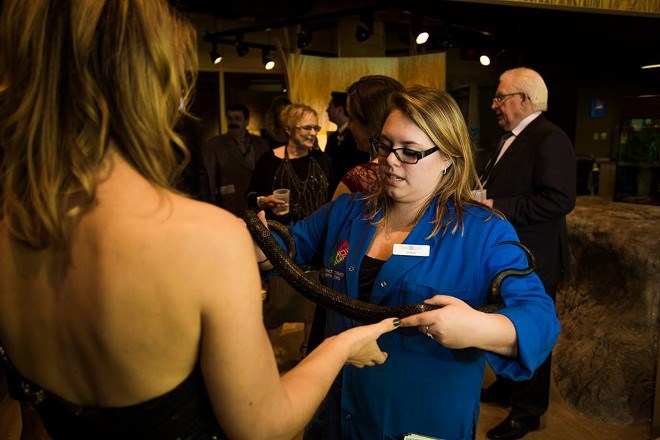 Bluecoat Brittany Rouleau shows a snake to a Money in Motion employee at a company event.