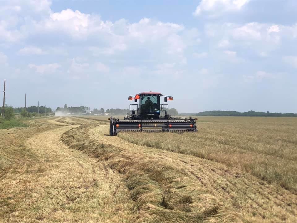 Brielmann Agriculture