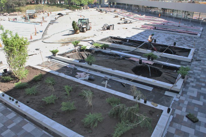 The courtyard of Tom Davies Square will feature gardens with trees and other plant life native to the area, including iconic windswept pines.