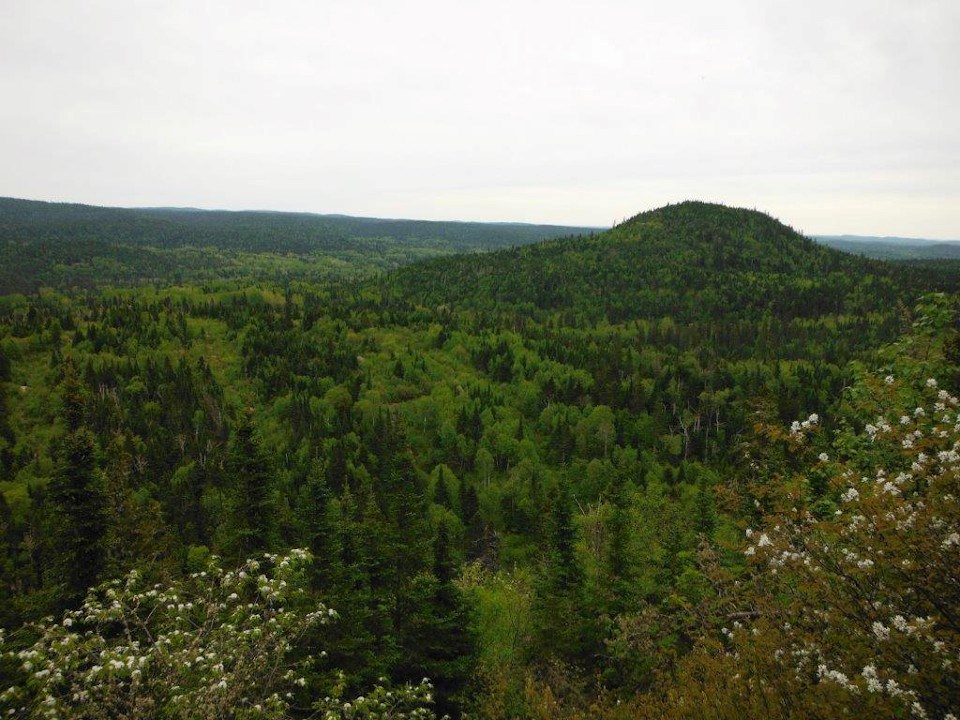 Generation Mining Marathon landscape