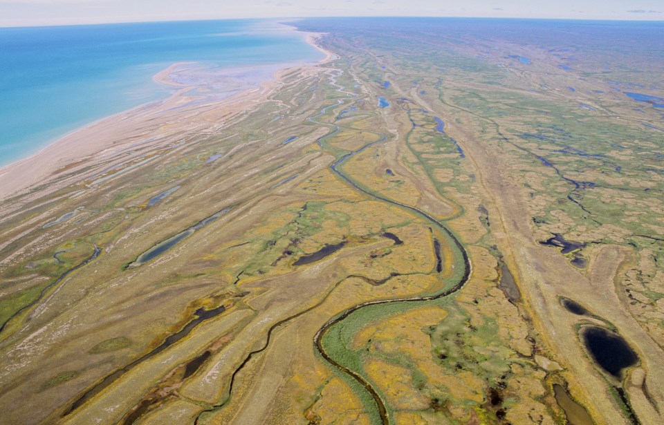 James Bay coast (Ont Gov photo)