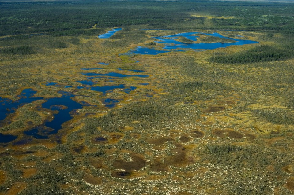 James Bay Lowlands (Noront Resources photo)