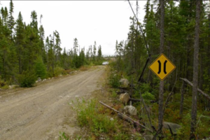 'High priority': Province pumps millions into forest roads