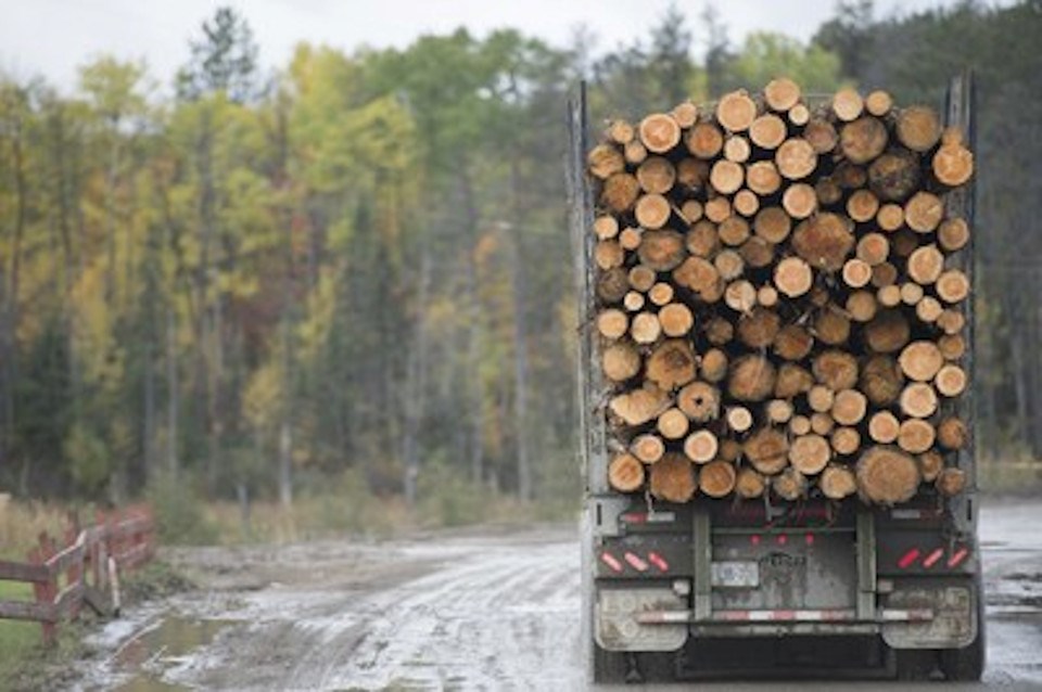 Logging truck