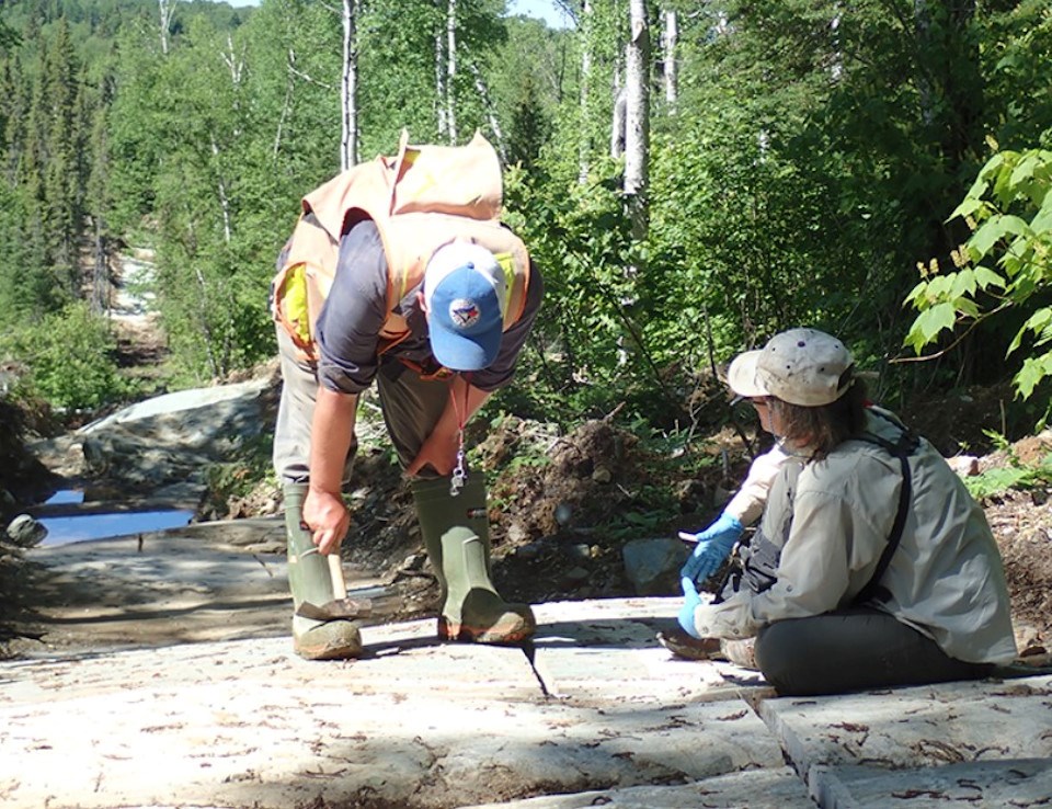 Manitou Gold Goudreau Project (Company photo)