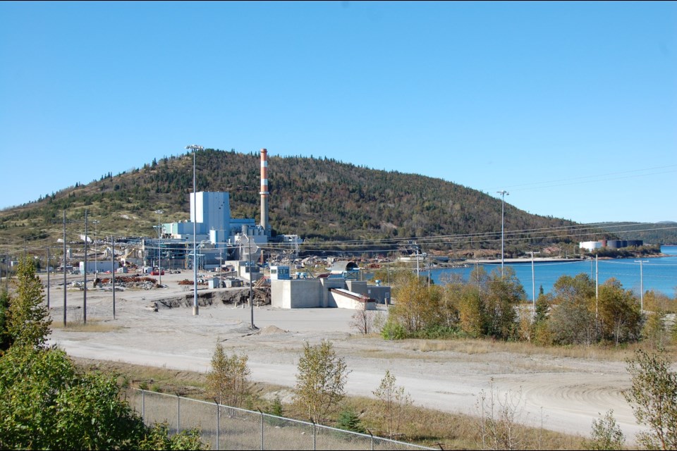 The Marathon Pulp mill during the 2015 demolition (File photo)                                    