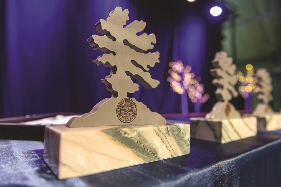 The 2020 Northern Ontario Business Awards celebrate nine outstanding people and organizations from across the North.