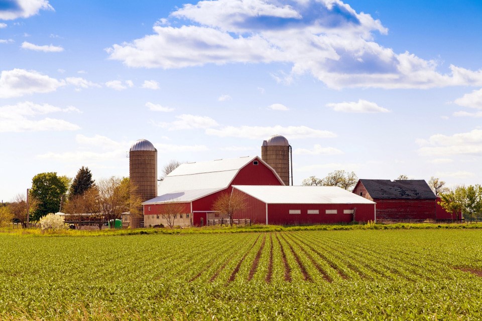 Ontario Federation of Agriculture photo