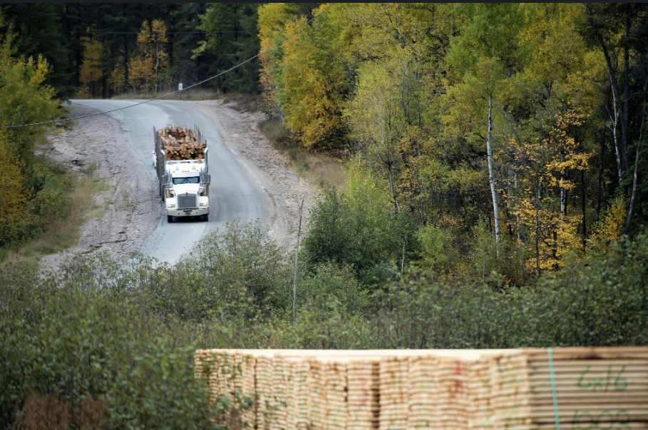 Ontario forestry industry braced for ‘period of pain’ Ontario forestry industry braced for ‘period of pain’