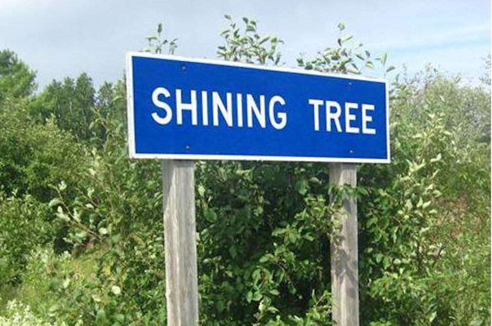 Platinex Shining Tree sign