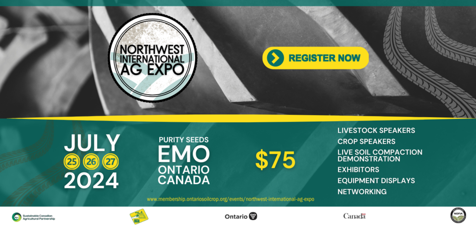 banner-graphic-475-x-225-in