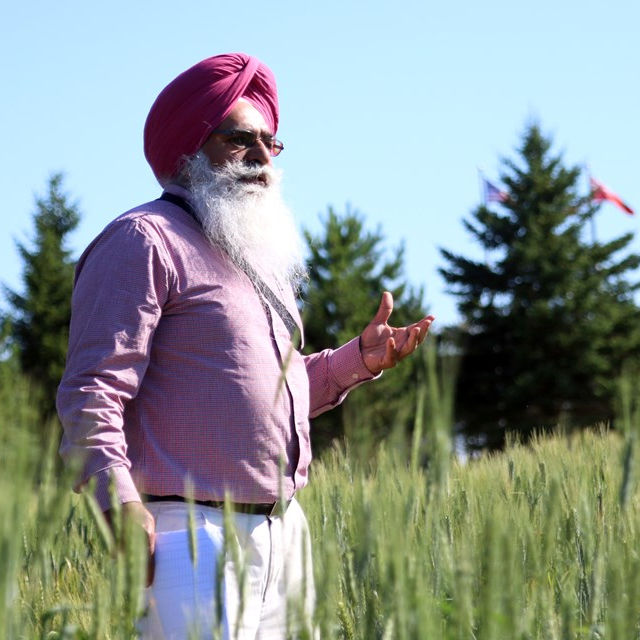 Tarlok Sahota Lakehead University