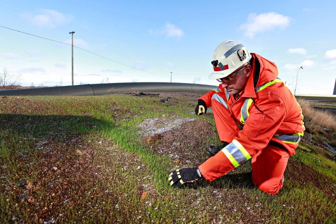 Terrapure Organic Solutions and Vale teamed up on a biosolid projects for a reclamation effort on its tailings site in Sudbury (Terrapure photo)