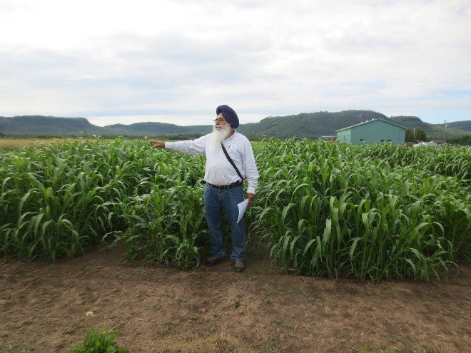 Thunder Bay Agricultural Research Association