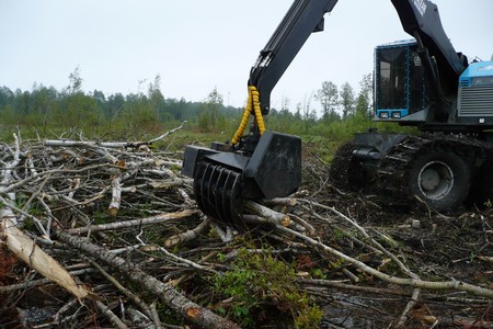 Talk of tenure take-back unnerves forest industry - Prince George Citizen