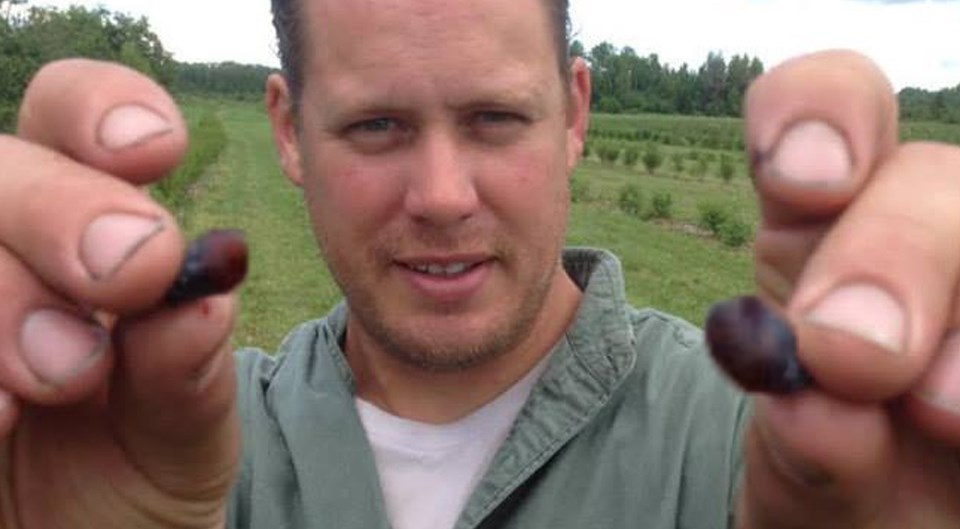 Greg Melien and his wife, Mira, own and operate Boreal Berry Farm and Winery in Warren, 40 minutes east of Sudbury. (Supplied photo)