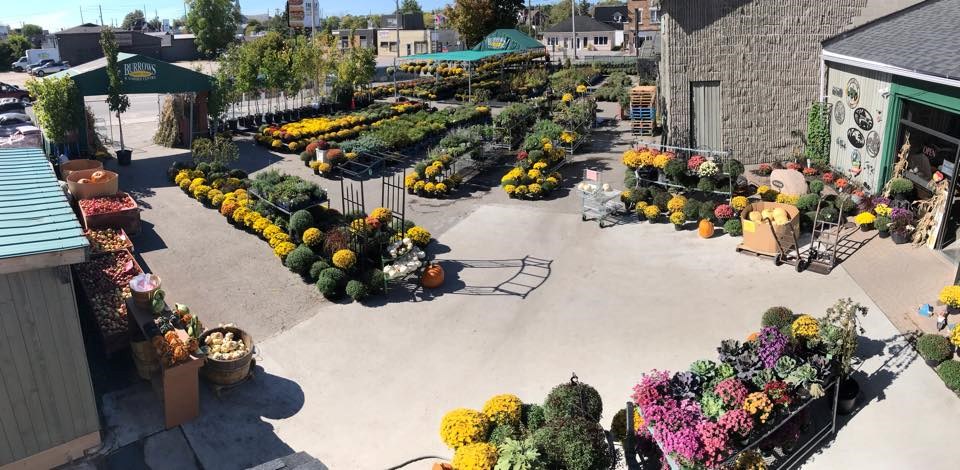 Burrows Country Store and Garden Centre has operated in North Bay since 1915 and is now in its third generation of family ownership.