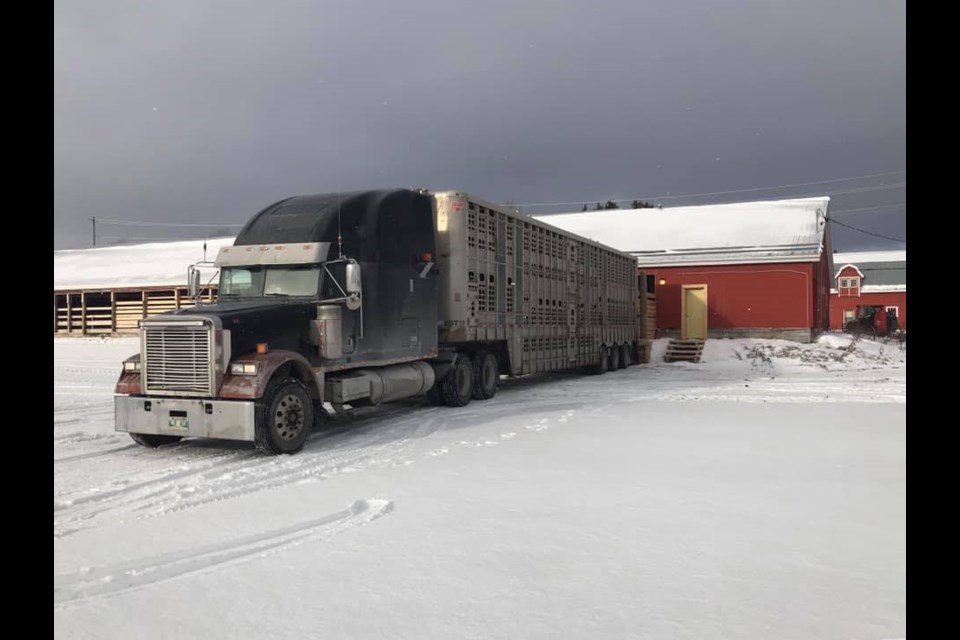 Jim and Selina Rogers have created the Feed & Water Cow Mootel in Kapuskasing. The stopover is designed to host cattle for a rest while being trucked across the country. (Supplied photo)