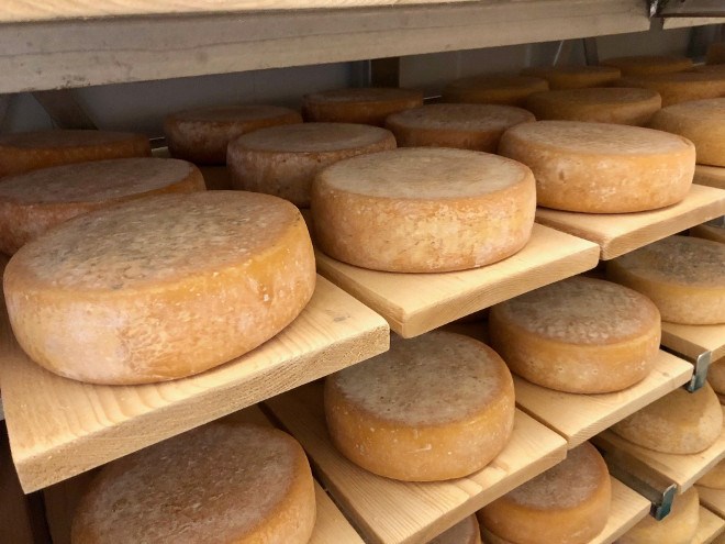 fromagerie_kapuskoise_cheese