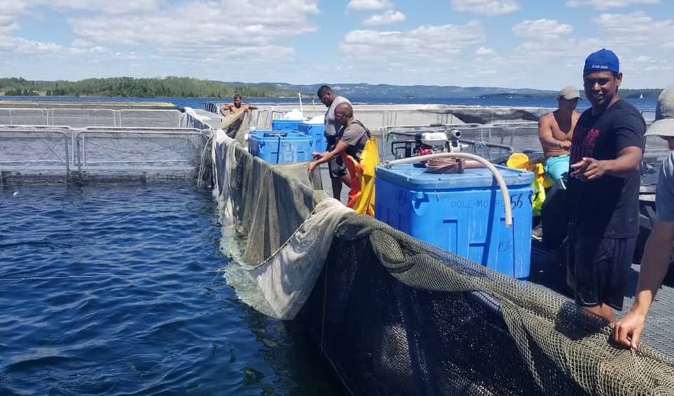 ontario_aquaculture_association