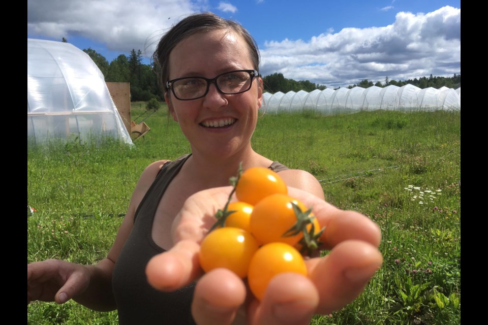 Peggy Baillie, co-owner at Three Forks Farms, holds one of the varieties of tomatoes available at her farm. (Supplied photo)