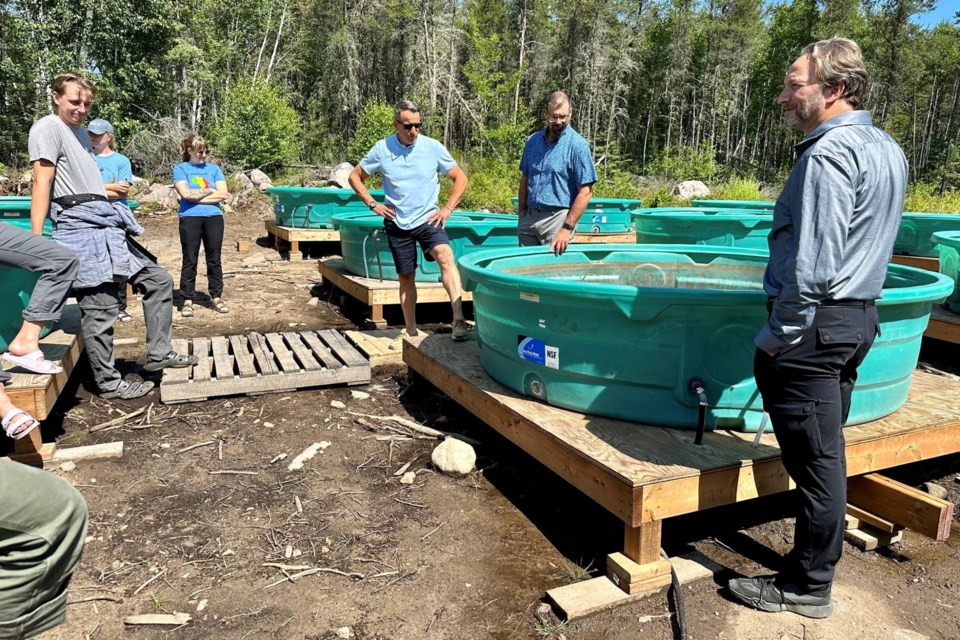 2025-07-28-lakehead-wild-rice-experiment2-supplied