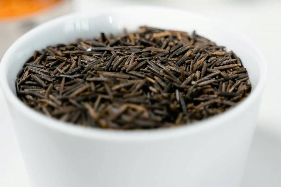 2025-07-28-lakehead-wild-rice-experiment3-supplied
