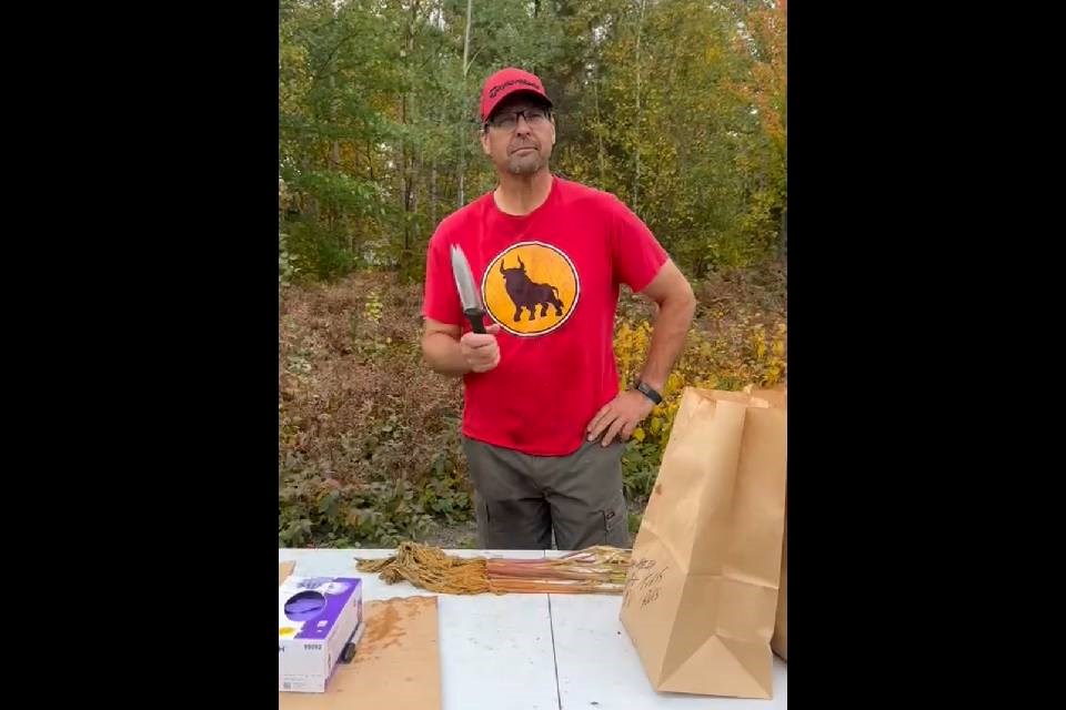 2025-07-28-lakehead-wild-rice-experiment4-supplied