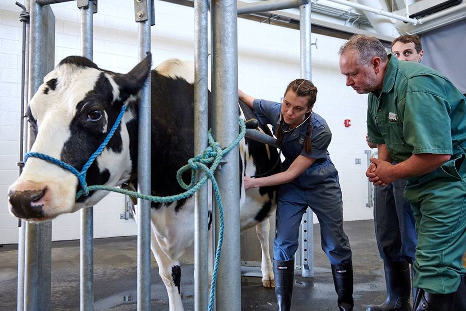 2025-09-03-univerity-of-guelph-vet-program-supplied