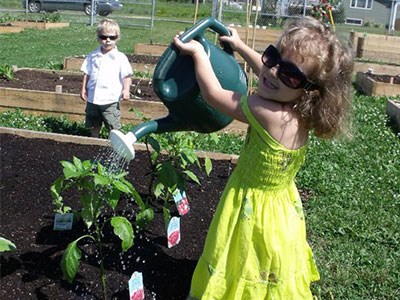 Timmins-Agriculture_Cropped