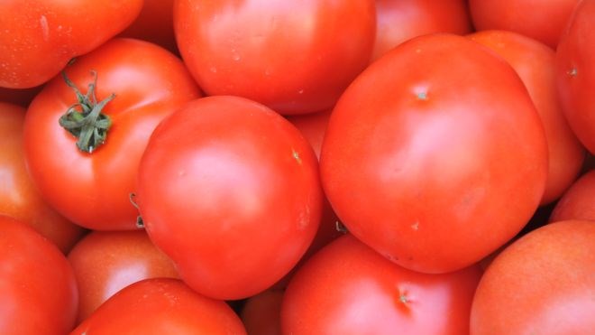 tomatoes_cropped