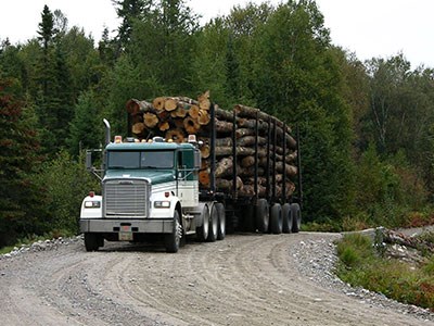 Truck-with-logs-on-forest-road_Cropped