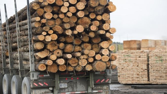 softwood-lumber