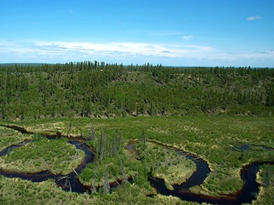 Muskeg_Cropped