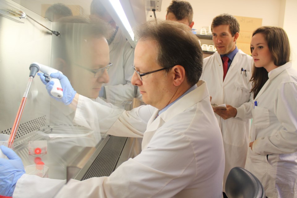 Dr. Amadeo Parissenti works in his lab at the Health Sciences North Research Institute in Sudbury.